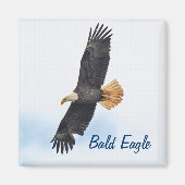 Soaring Bald Eagle Wildife Foto Art Magnet (Vorne)