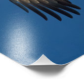 Soaring Eagle Fotodruck (Ecke)