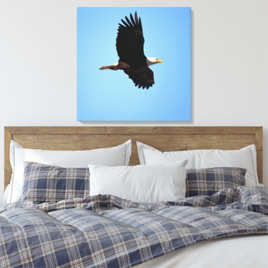Soaring Eagle Leinwanddruck (Insitu (Schlafzimmer))