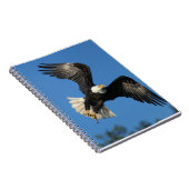 Soaring Eagle Notizblock (Rechte Seite)