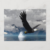 Soaring Eagle Postcard Postkarte (Vorderseite)