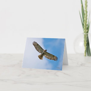 Soaring Hawk Note Card Karte