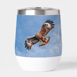 Soaring Red Kite
