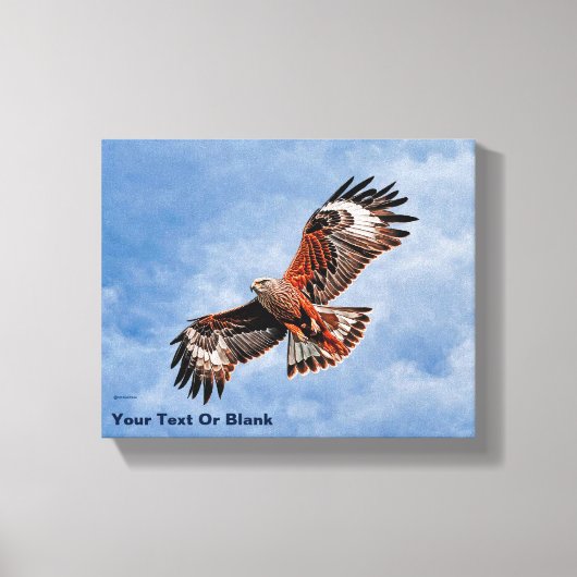Soaring Red Kite Leinwanddruck (Vorderseite)