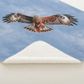 Soaring Red Kite Sherpadecke (3/4)
