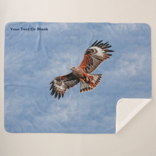 Soaring Red Kite Sherpadecke