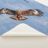 Soaring Red Kite Sherpadecke (3/4)