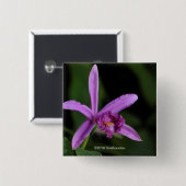 Sobralia Bouchei Button (Vorne & Hinten)