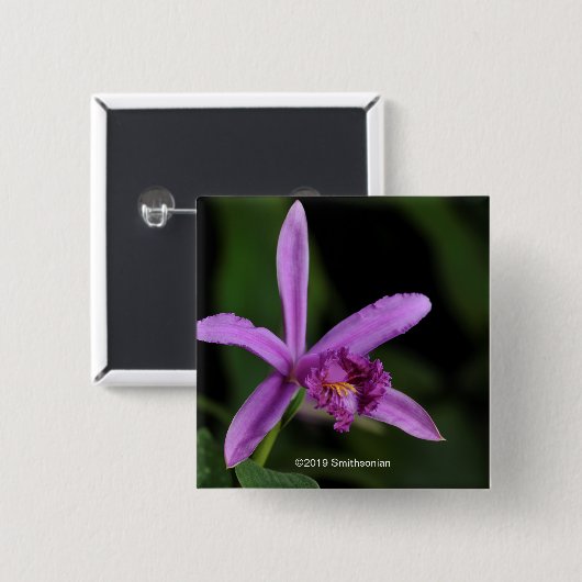 Sobralia Bouchei Button (Vorne & Hinten)