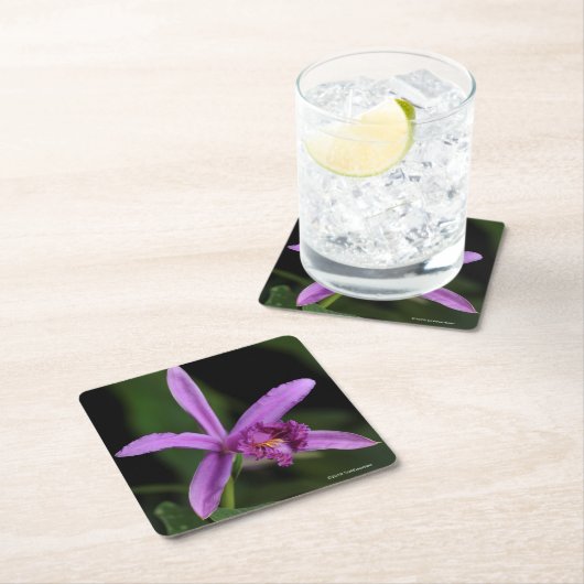 Sobralia Bouchei Rechteckiger Pappuntersetzer (Vor Ort)