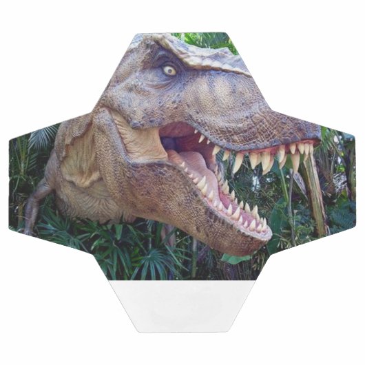 Soccer Ball Cute Dinosaur (Flach)