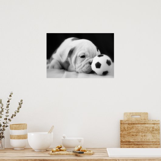 "Soccer Ball Nose" English Bulldog Puppy Poster (Küche)