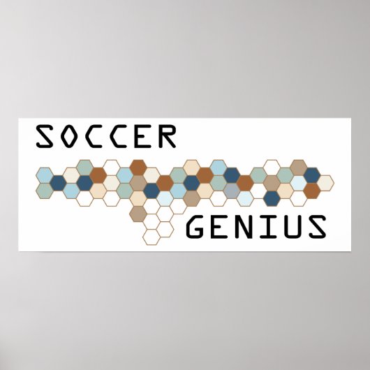 Soccer Genius Poster (Vorne)