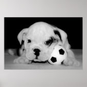 "Soccer Puppy" Poster (Vorne)