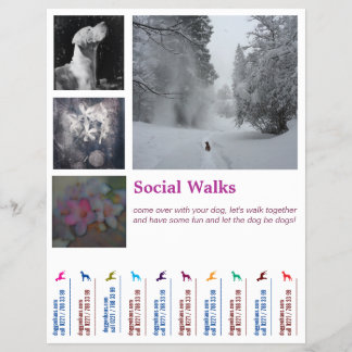 Social Dog geht Ripp Off Flyer