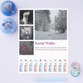 Social Dog geht Ripp Off Flyer (Einzeln)