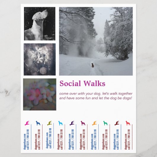 Social Dog walks Ripp Off Flyer (Vorne)