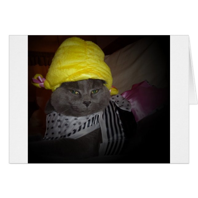 Sock Hop Kitty (Vorderseite (Horizontal))
