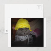 Sock Hop Kitty Postkarte (Vorne/Hinten)