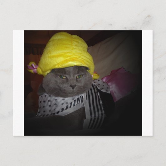 Sock Hop Kitty Postkarte (Vorderseite)