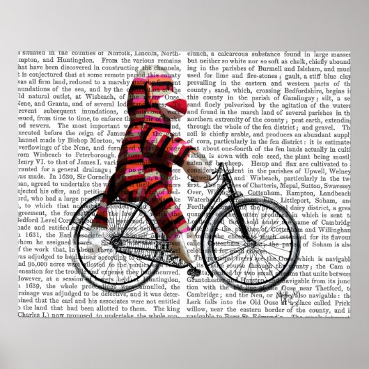 Sock Monkey auf dem Fahrrad Poster (Vorne)