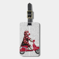 Sock Monkey auf Moped