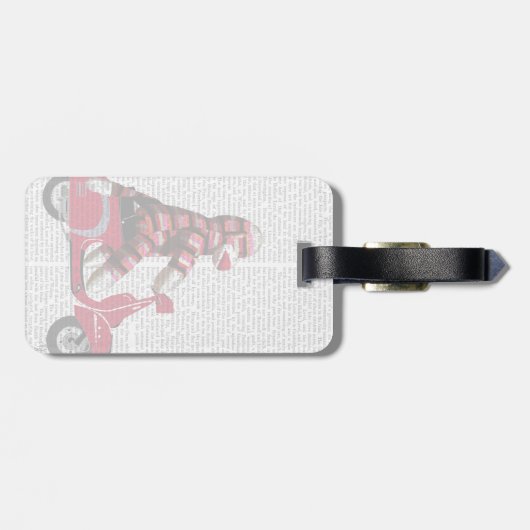 Sock Monkey auf Moped Gepäckanhänger (Rückseite horizontal)