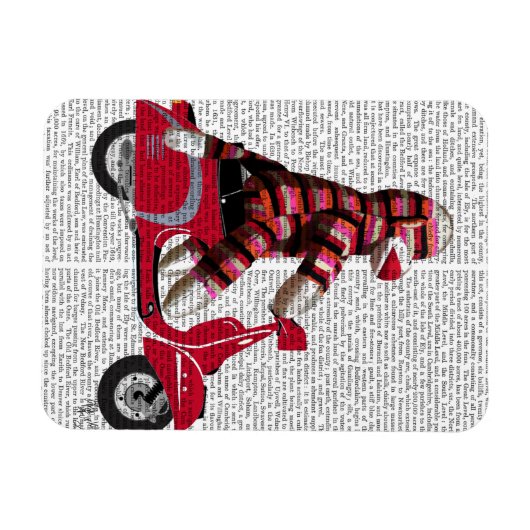 Sock Monkey auf Moped Magnet (Horizontal)