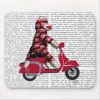 Sock Monkey auf Moped