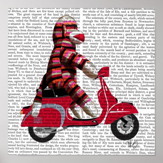 Sock Monkey auf Moped Poster (Vorne)