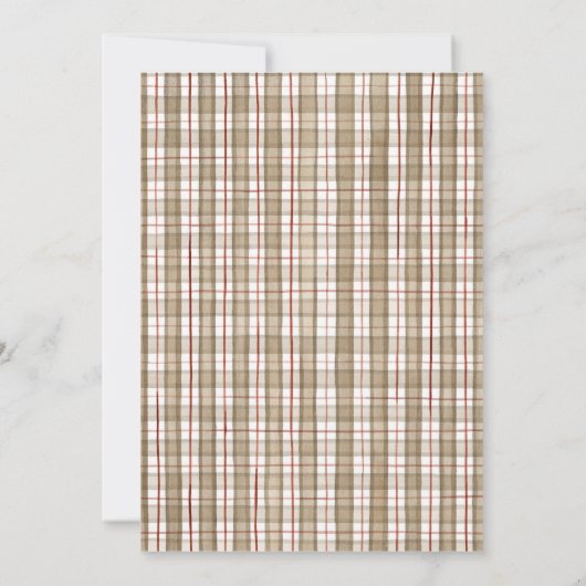 Sock Monkey, Boy Baby Shower Einladung (Rückseite)