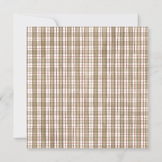 Sock Monkey, Boy Baby Shower Einladung (Rückseite)