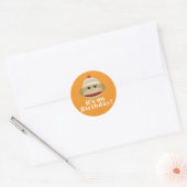 Sock Monkey Orange Geburtstag Stickers Kelly Schwa (Umschlag)