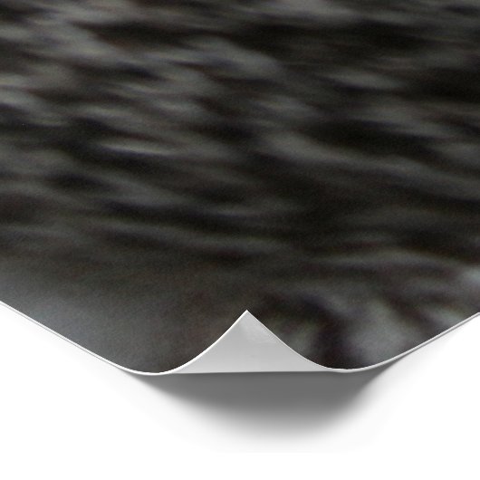 Sock Monkey Print Poster (Ecke)