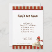 Sock Monkey, Red Wagon, Boy Birth Ankündigung (Rückseite)