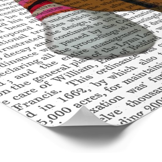 Sock Monkey und Cello Poster (Ecke)