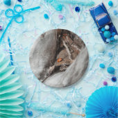 Sockel von Photokarton eines Käfers Pappteller (Party)