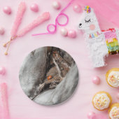 Sockel von Photokarton eines Käfers Pappteller (Party)