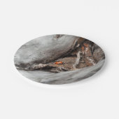 Sockel von Photokarton eines Käfers Pappteller (Schrägansicht)