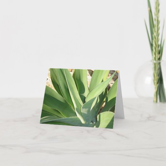 Socken der Sonne v2 Karte (Vorderseite)