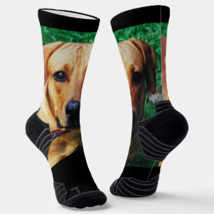Socken für personalisierte Foto-Crew