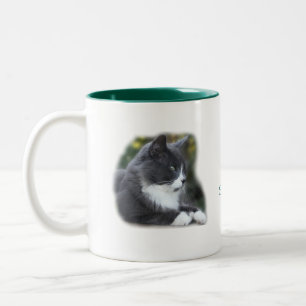 Socken-Katzen-Becher fertigen besonders an Zweifarbige Tasse
