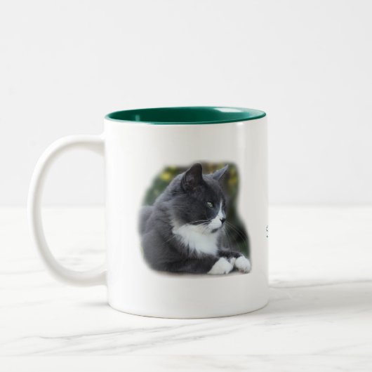 Socken-Katzen-Becher fertigen besonders an Zweifarbige Tasse (Links)