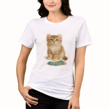 Socken Sie es mir - American Curl Kitten Edition