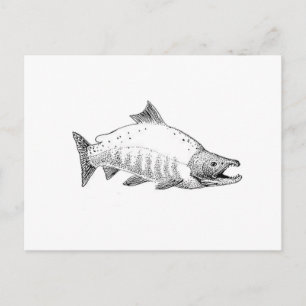 Sockeye Lachs Art Postkarte