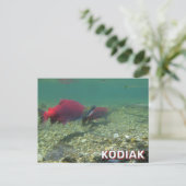 Sockeye Lachs in Kodiak, Alaska Postkarte (Stehend Vorderseite)