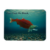 Sockeye Lachs Magnet (Horizontal)