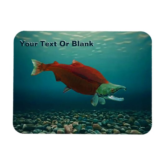 Sockeye Lachs Magnet (Horizontal)