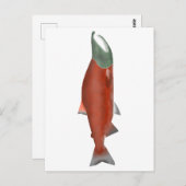 Sockeye Lachs - Phase Postkarte (Vorne/Hinten)
