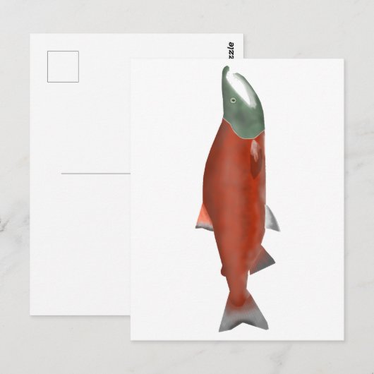 Sockeye Lachs - Phase Postkarte (Vorne/Hinten)